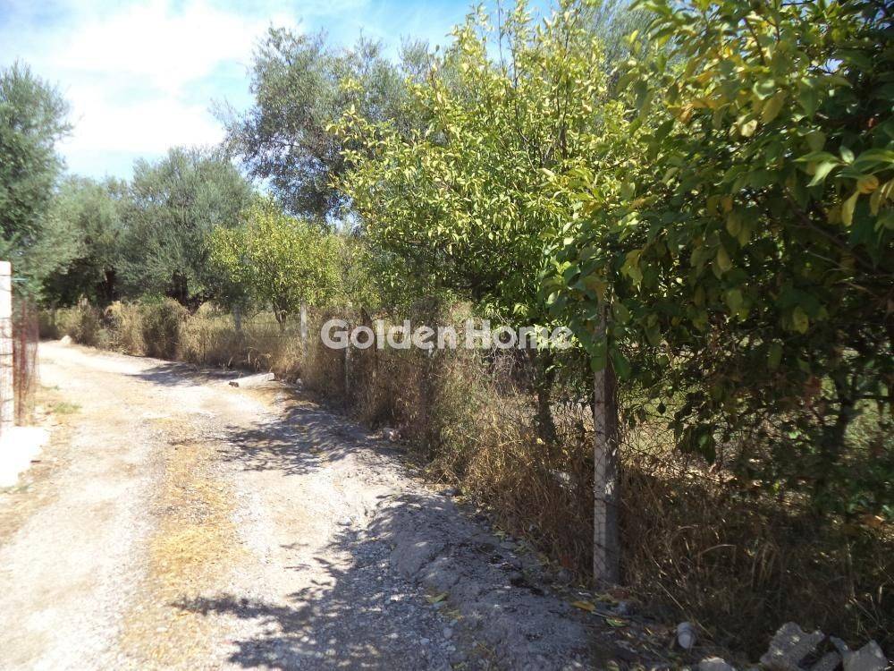 Εξωτερικός Χώρος