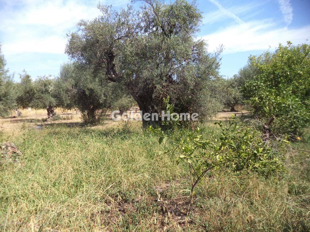 Εξωτερικός Χώρος