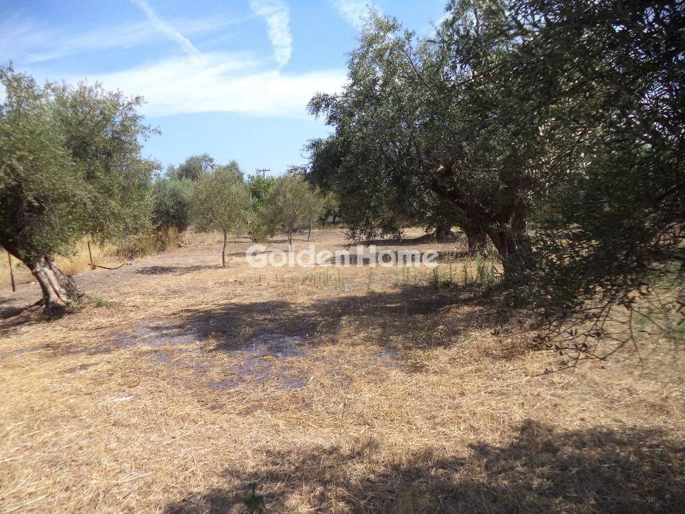 Εξωτερικός Χώρος