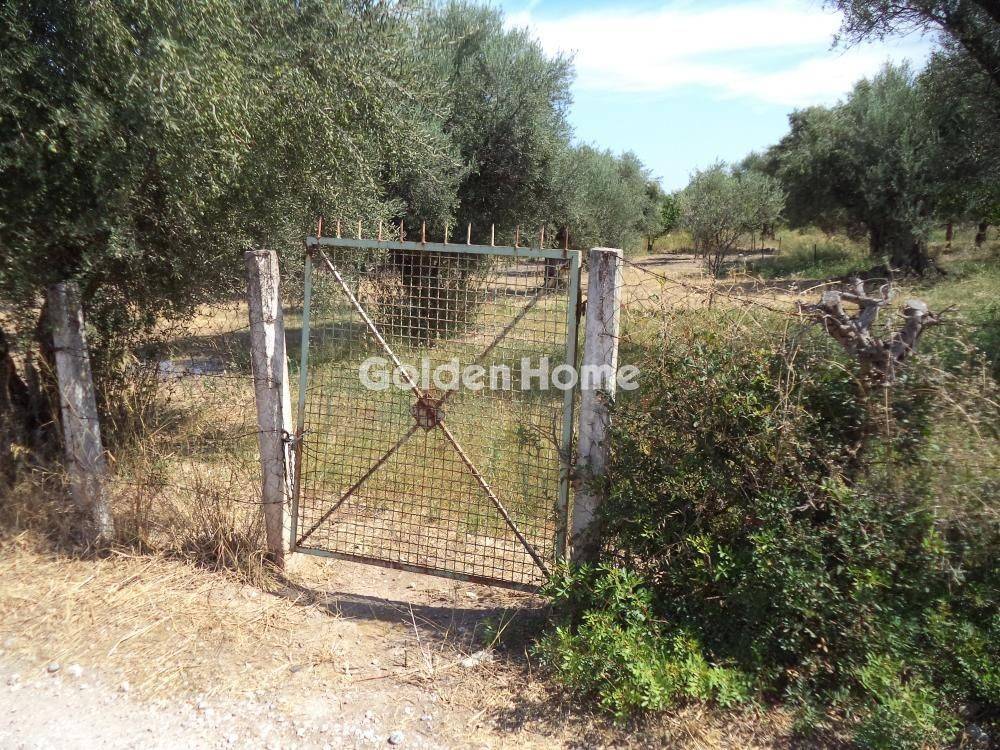 Εξωτερικός Χώρος