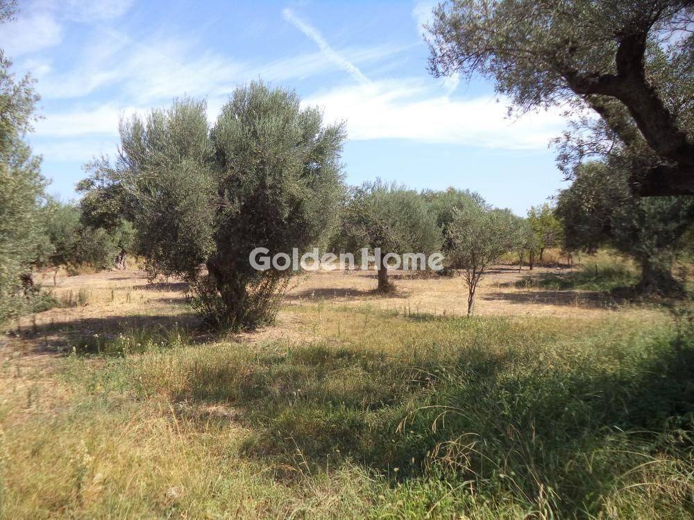 Εξωτερικός Χώρος