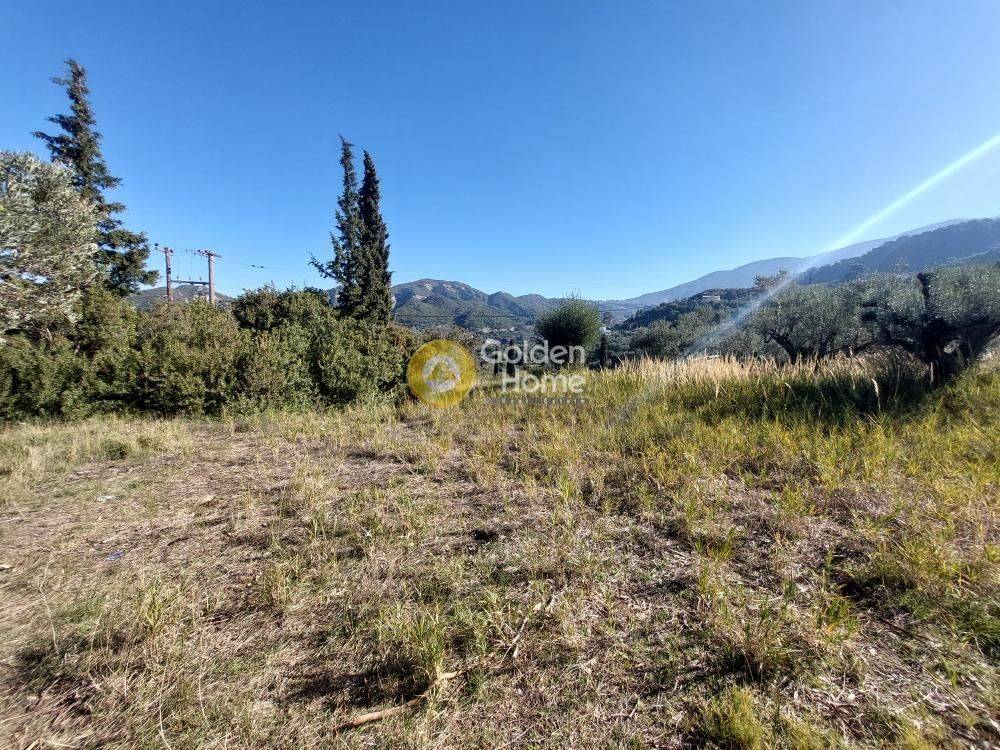 Κυρίως Χώρος