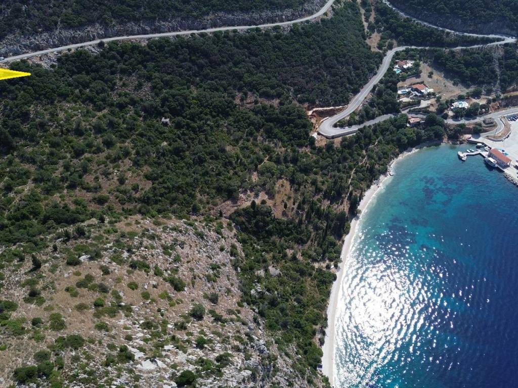 Location of the plot