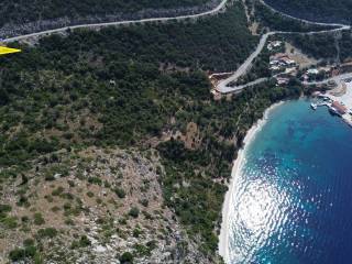 Location of the plot