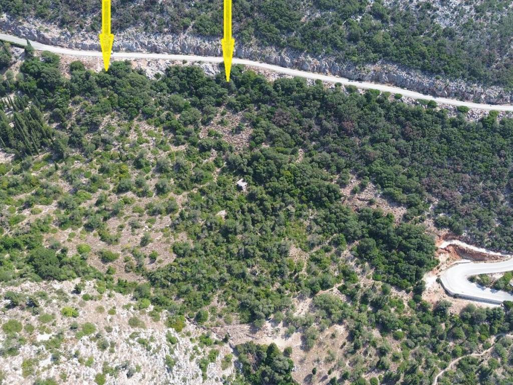 Aerial view and location of the land