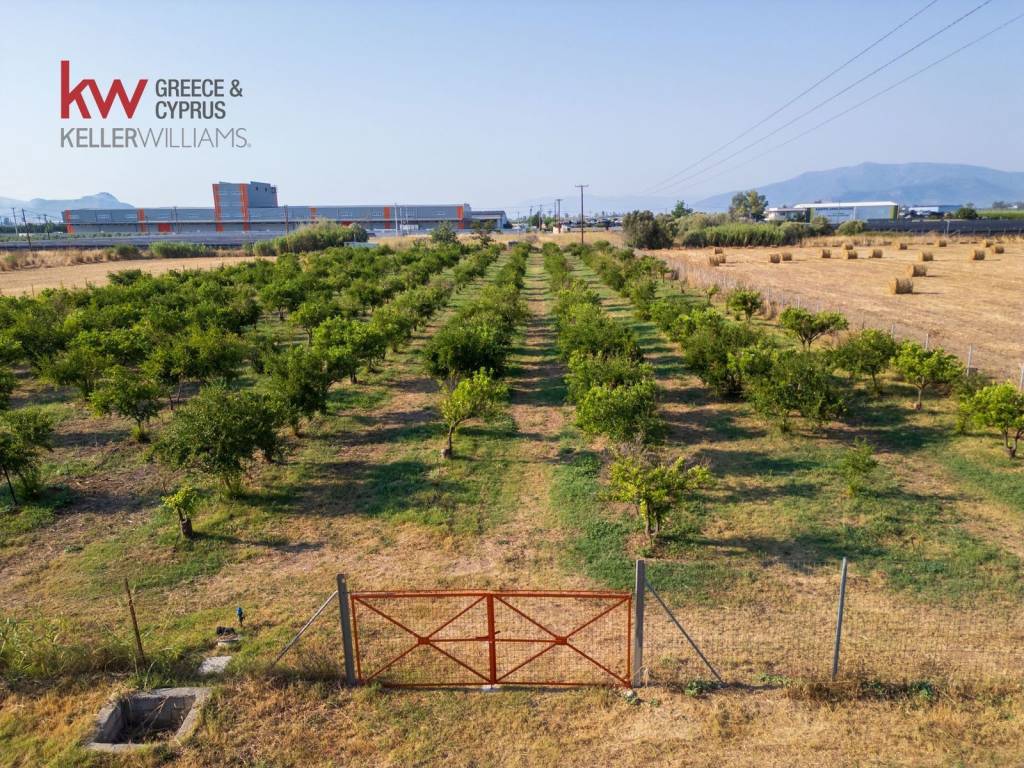 Εξωτερικοι χώροι