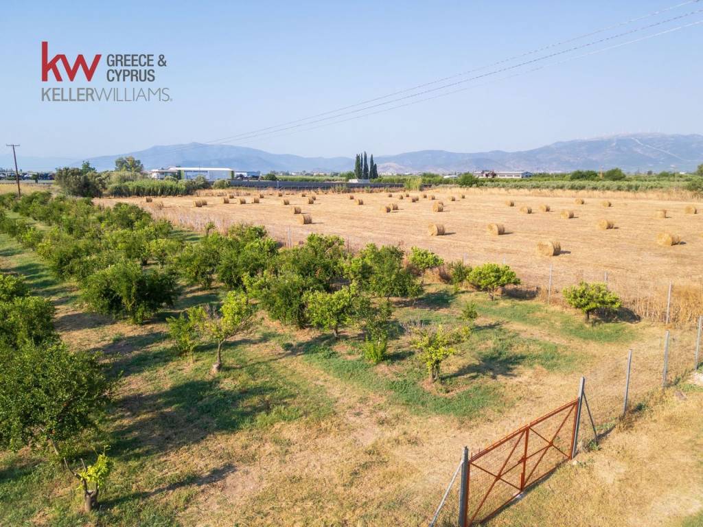 Εξωτερικοι χώροι