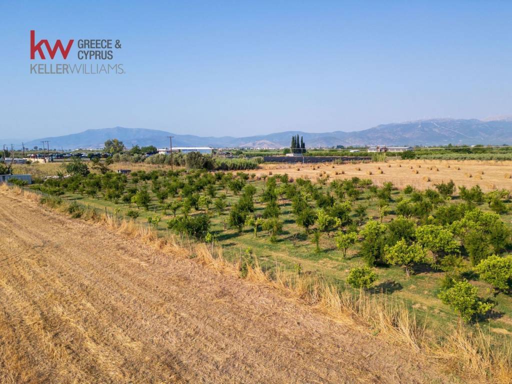 Εξωτερικοι χώροι