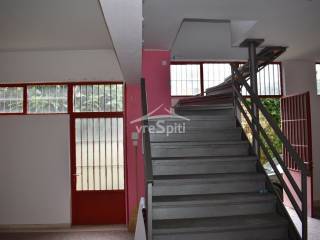 ΑΠΟΨΗ ΚΑΤΑΣΤΗΜΑΤΟΣ