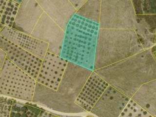 Plot - Grekodom 64123|1010312