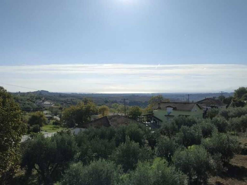 Detached - Grekodom 57251|816256