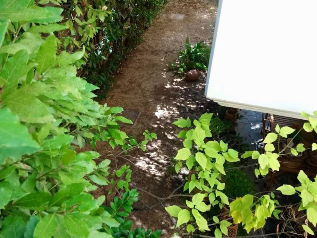 Εξωτερικοι χώροι