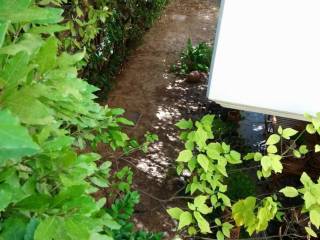 Εξωτερικοι χώροι