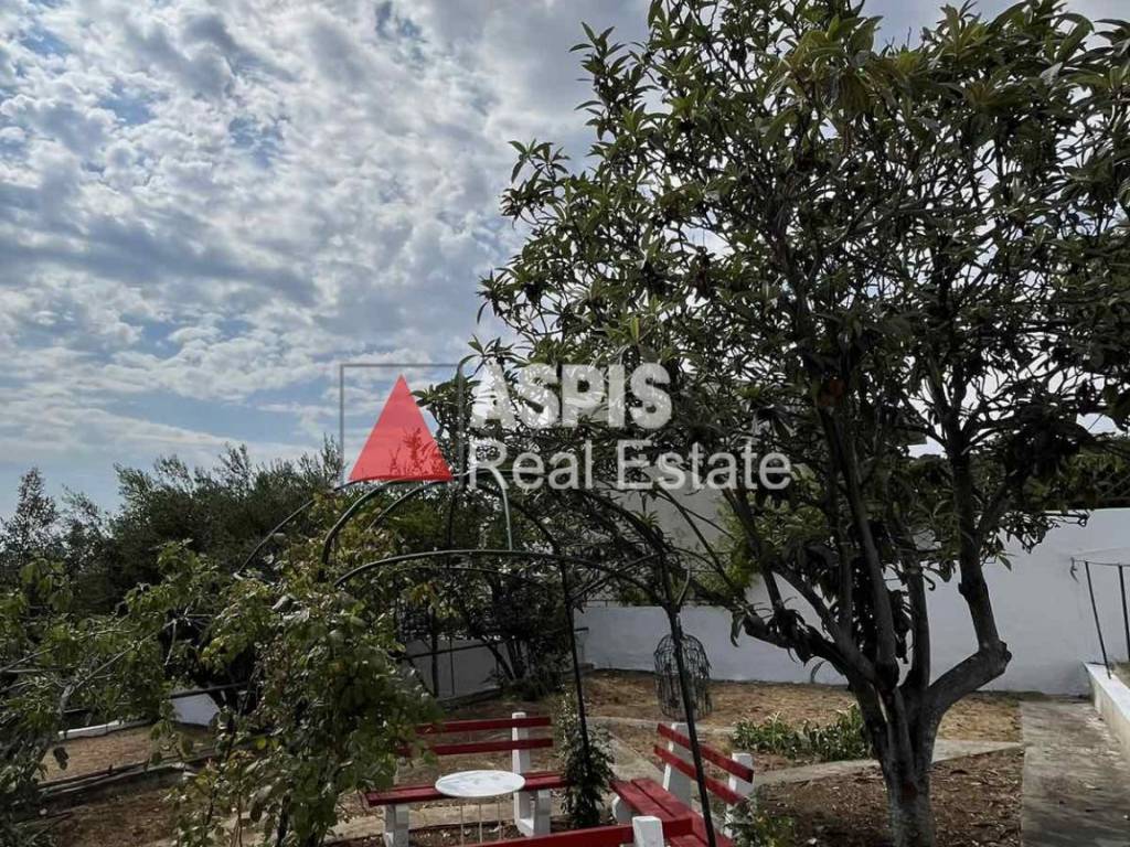 Εξωτερικοι χώροι