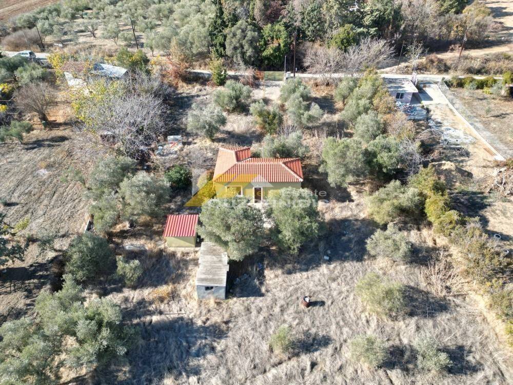 Αγορά κτήματος 3 στρεμματων με κρίσμα στο Κρυονέρι Αλεξανδρούπολης