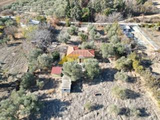 Αγορά κτήματος 3 στρεμματων με κρίσμα στο Κρυονέρι Αλεξανδρούπολης