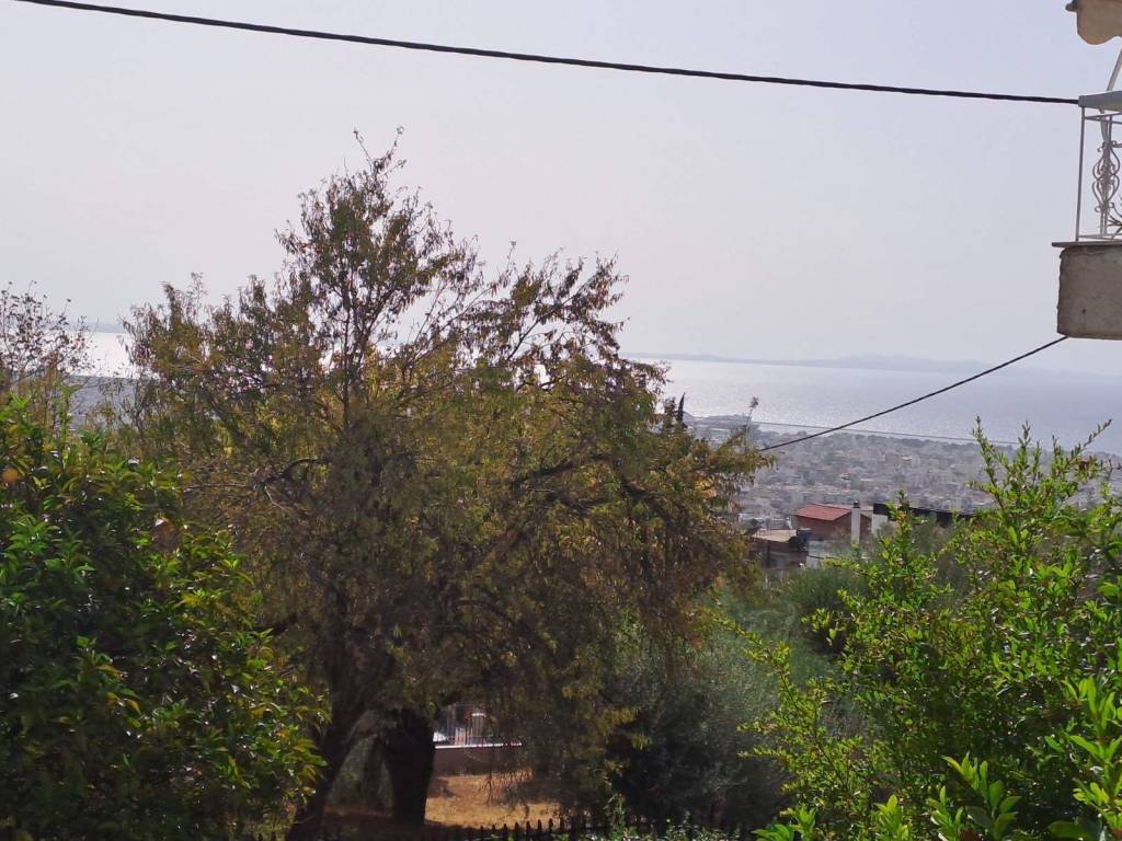 ΜΕ ΑΠΕΡΙΟΡΙΣΤΗ ΘΕΑ ΚΑΙ  ΘΑΛΑΣΣΑ