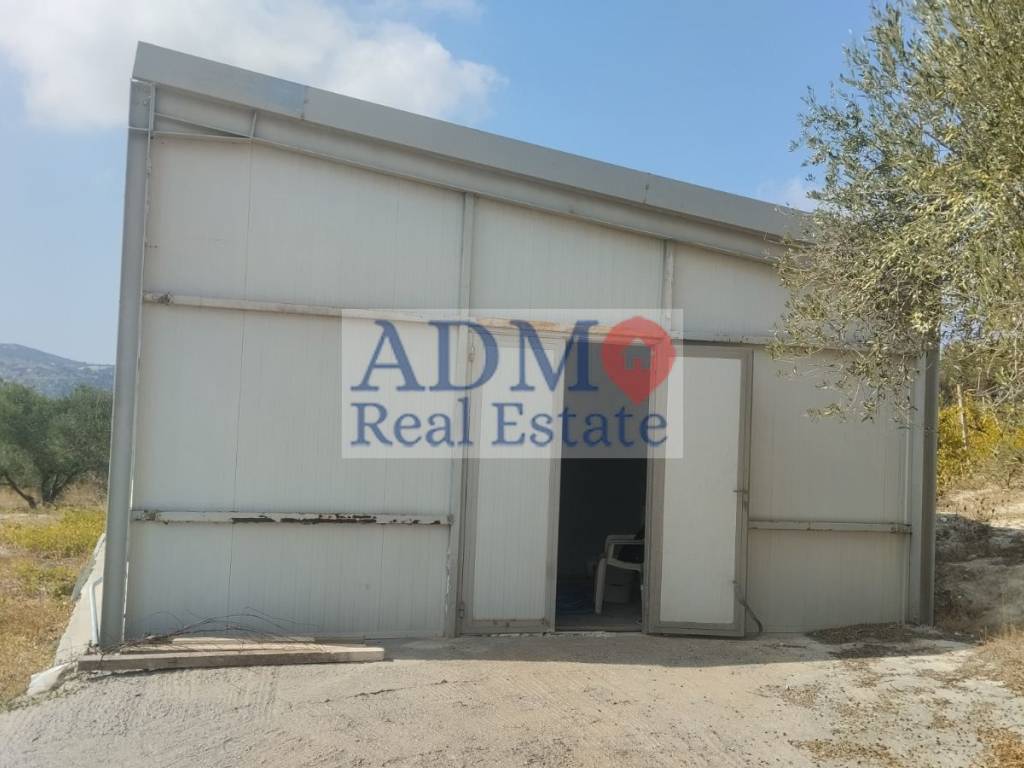 Εξωτερικοι χώροι