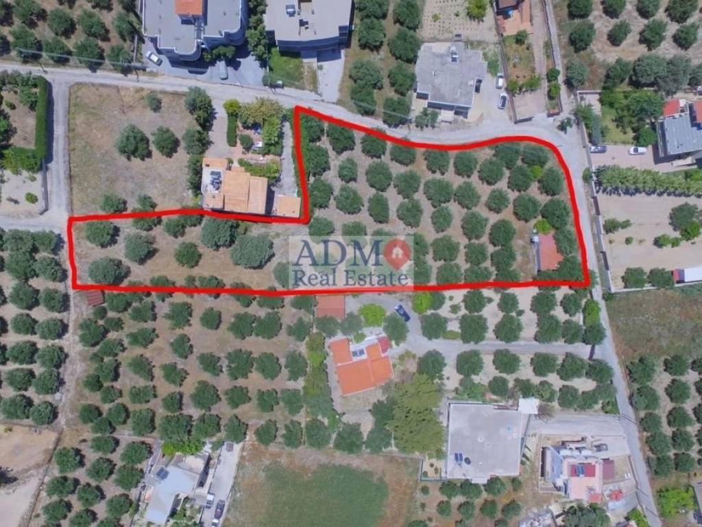 Εξωτερικοι χώροι