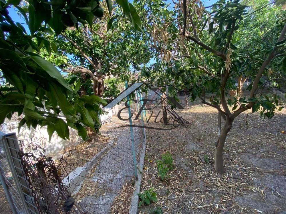 Άποψη Οικοπέδου