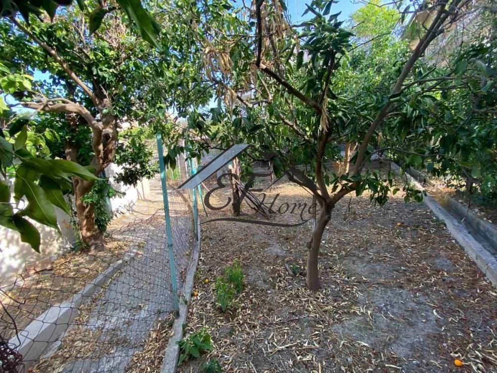 Άποψη Οικοπέδου