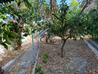 Άποψη Οικοπέδου