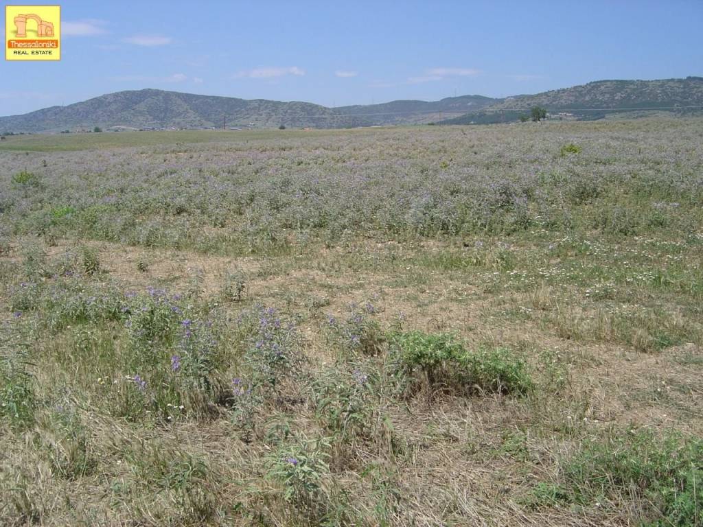 Νεοχωρούδα, Αγροτεμάχιο, 6.000 τ.μ.