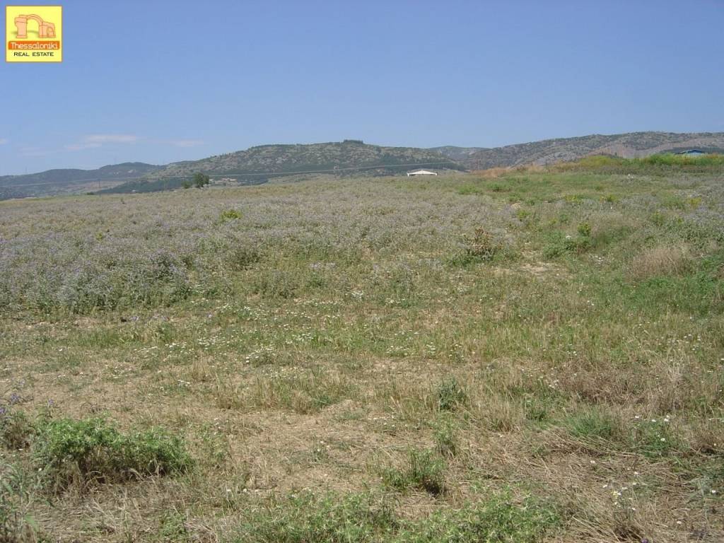 Νεοχωρούδα, Αγροτεμάχιο, 6.000 τ.μ.