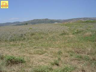 Νεοχωρούδα, Αγροτεμάχιο, 6.000 τ.μ.