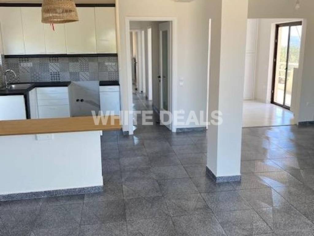 Σαλοκουζίνα