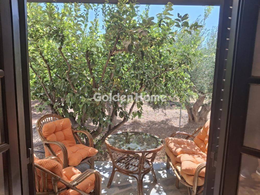 Εξωτερικός Χώρος