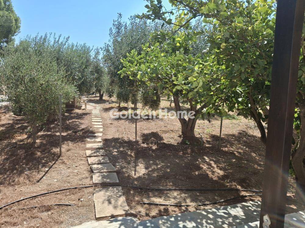 Εξωτερικός Χώρος