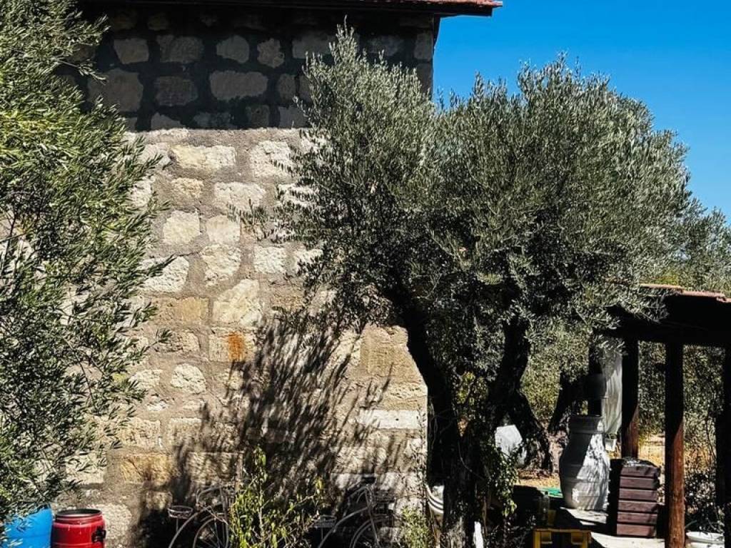 Detached - Grekodom 62714|1010785