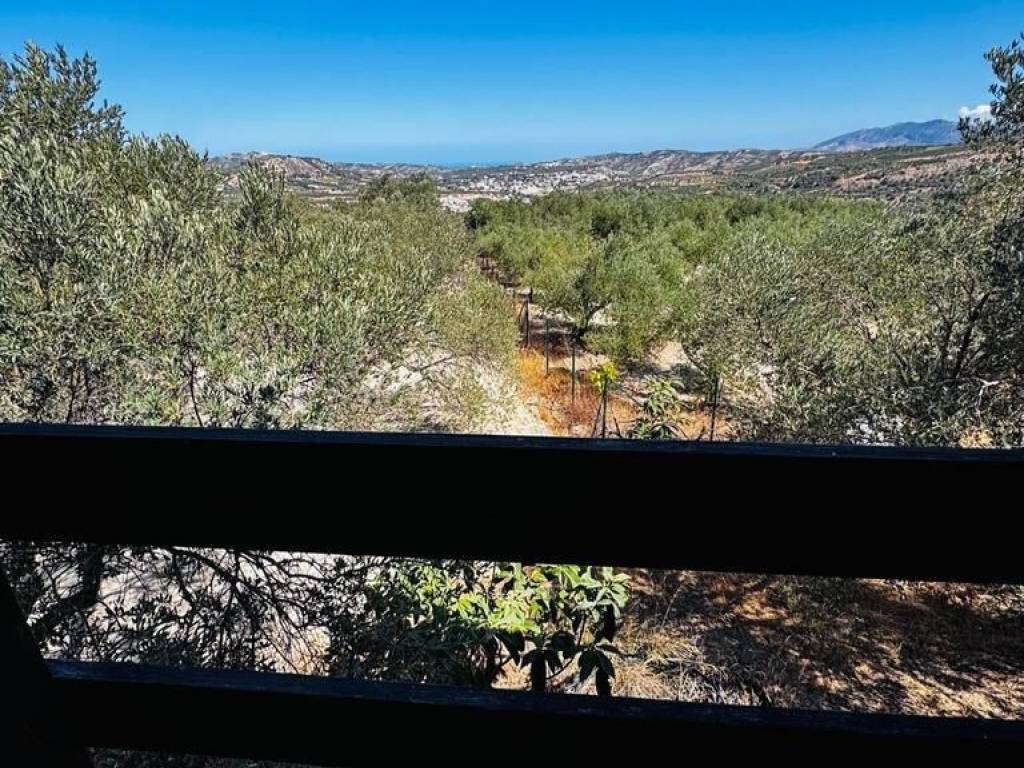 Detached - Grekodom 62714|1010772