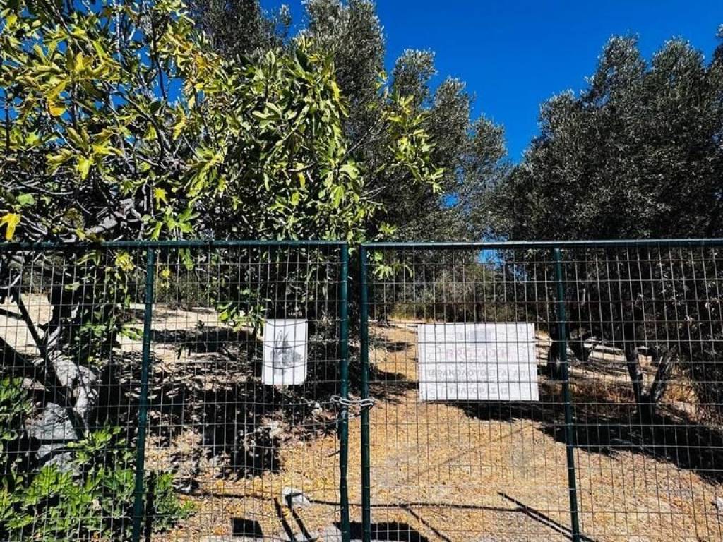 Detached - Grekodom 62714|1010753