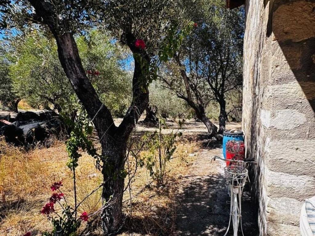 Detached - Grekodom 62714|1010783