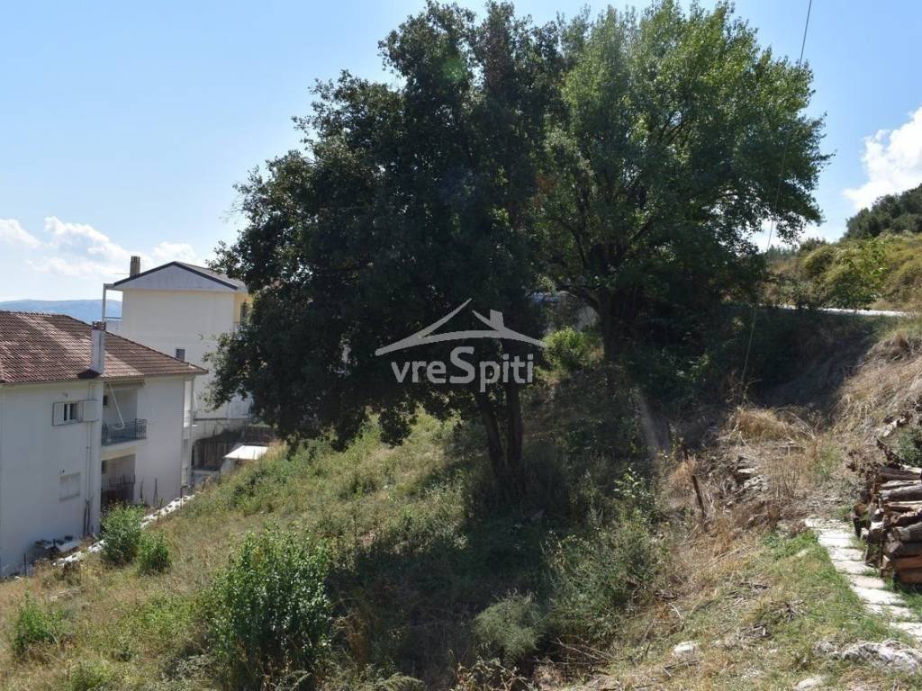 ΑΠΟΨΗ ΟΙΚΟΠΕΔΟΥ