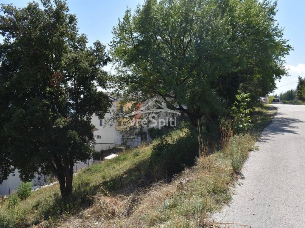 ΑΠΟΨΗ ΟΙΚΟΠΕΔΟΥ