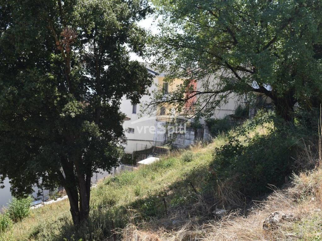 ΑΠΟΨΗ ΟΙΚΟΠΕΔΟΥ