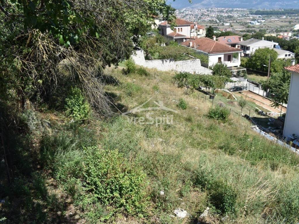 ΑΠΟΨΗ ΟΙΚΟΠΕΔΟΥ