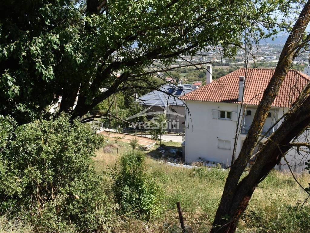 ΑΠΟΨΗ ΟΙΚΟΠΕΔΟΥ