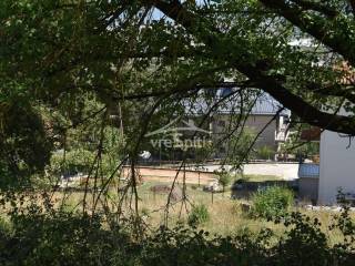 ΑΠΟΨΗ ΟΙΚΟΠΕΔΟΥ