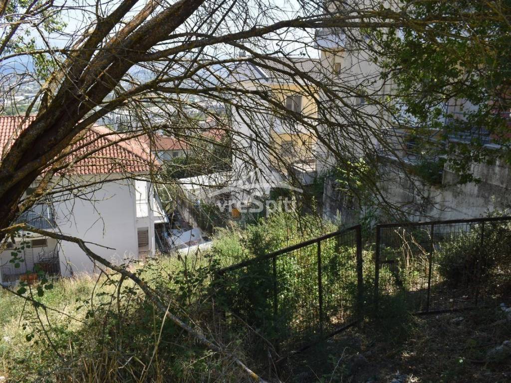 ΑΠΟΨΗ ΟΙΚΟΠΕΔΟΥ