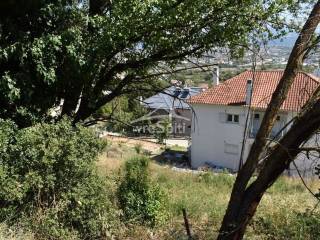 ΑΠΟΨΗ ΟΙΚΟΠΕΔΟΥ