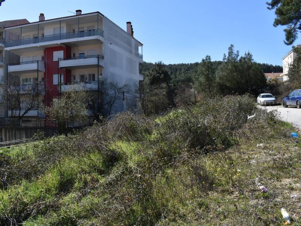 ΑΠΟΨΗ ΟΙΚΟΠΕΔΟΥ