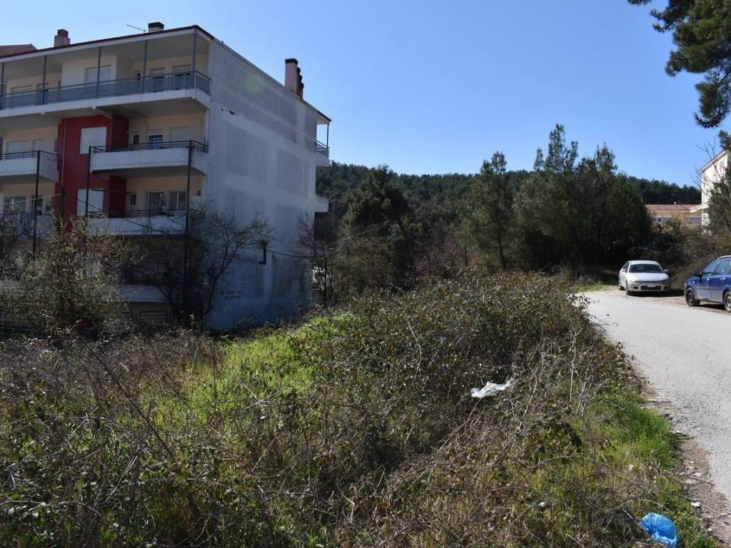 ΑΠΟΨΗ ΟΙΚΟΠΕΔΟΥ