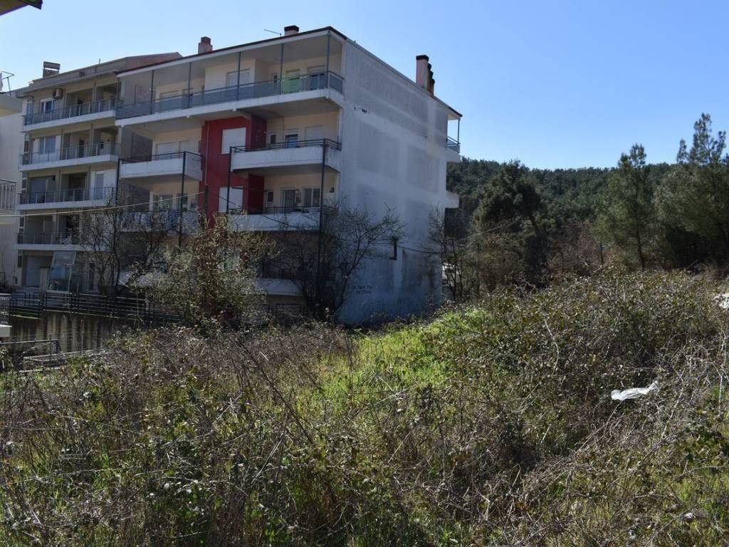 ΑΠΟΨΗ ΟΙΚΟΠΕΔΟΥ