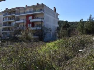 ΑΠΟΨΗ ΟΙΚΟΠΕΔΟΥ