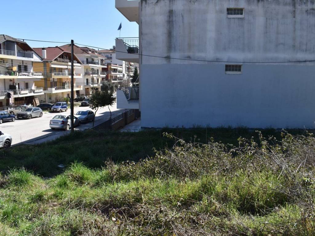 ΑΠΟΨΗ ΟΙΚΟΠΕΔΟΥ