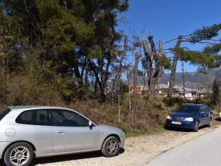 ΑΠΟΨΗ ΟΙΚΟΠΕΔΟΥ